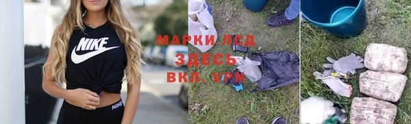 мдпв Богородск