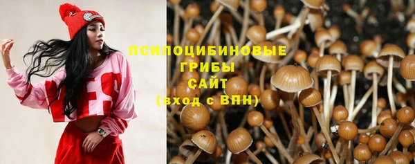 альфа пвп Богородицк
