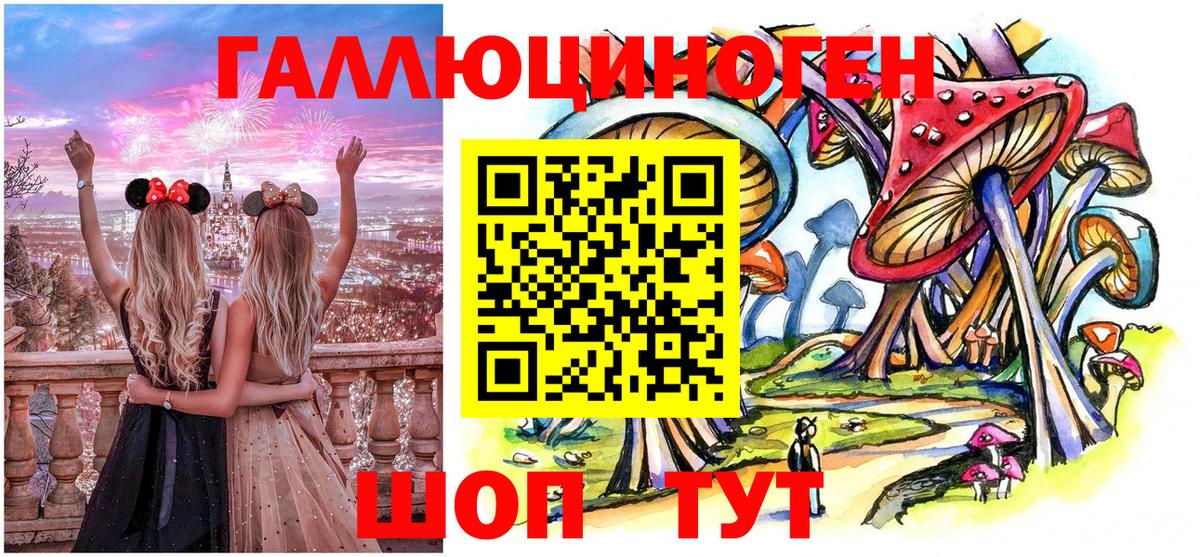 Псилоцибиновые грибы Psilocybe Сердобск